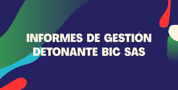 Informes de Gestión BIC I Detonante